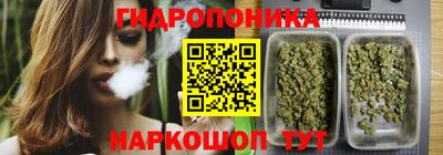 спиды Кимры