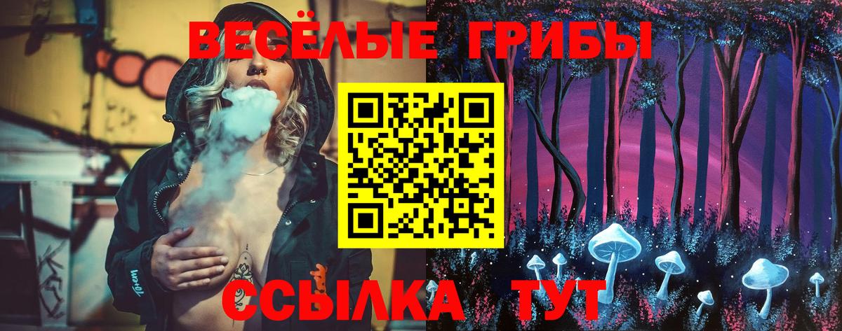 Галлюциногенные грибы GOLDEN TEACHER  Вход с VPN  Таганрог 